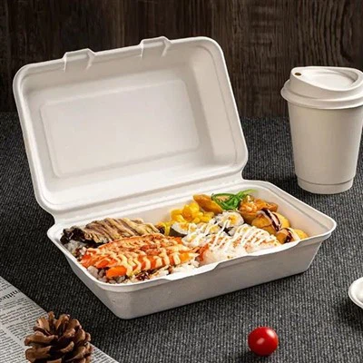 Раскладушка из сахарного тростника 9x6