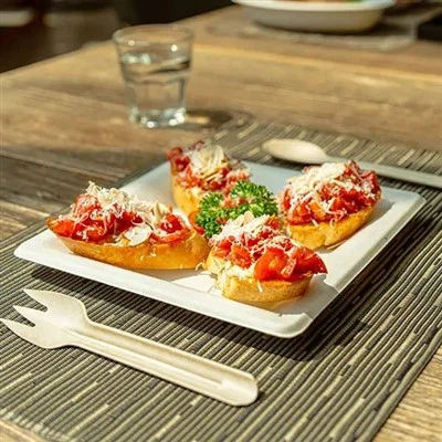 Одноразовая тарелка из багассы